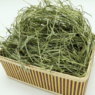 《甘肃岷县提摩西草兔子干草21年半烘干优质北提牧草龙猫豚鼠饲料 纯